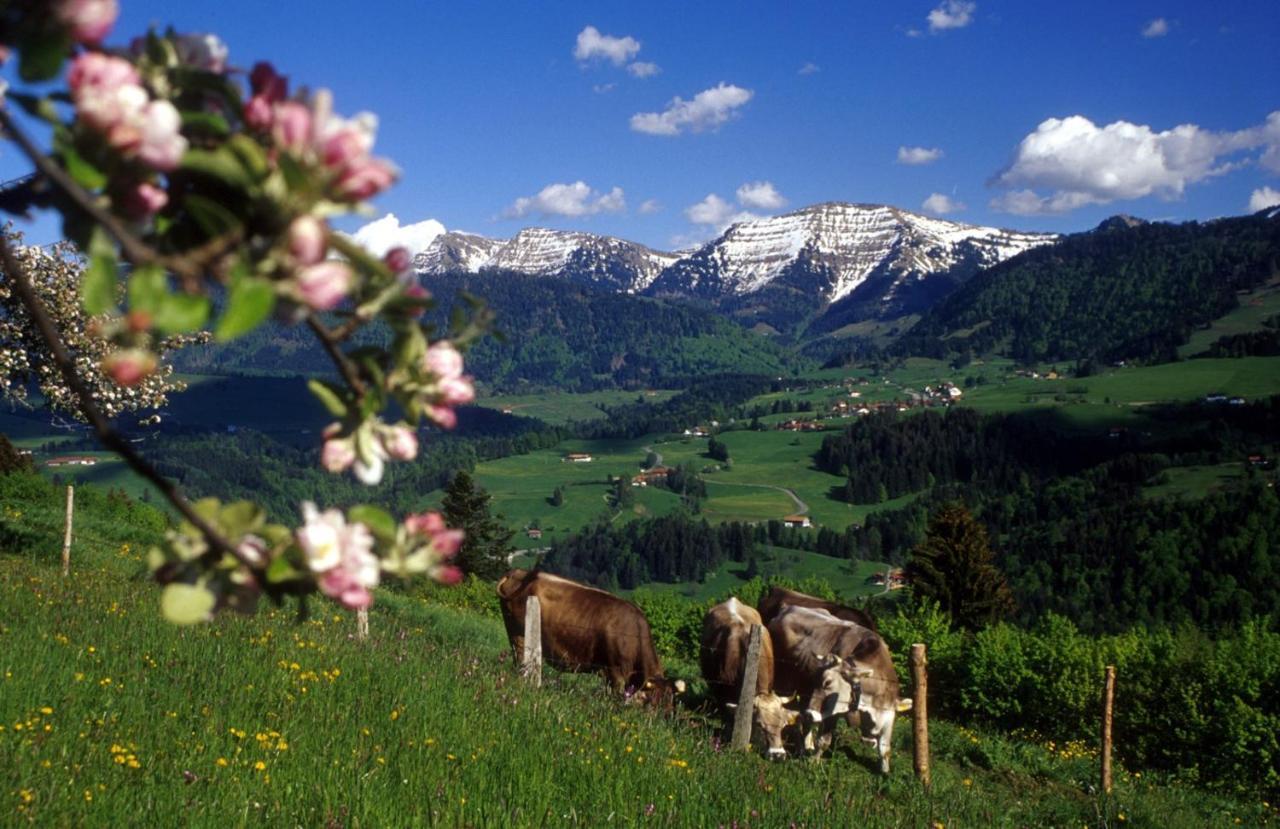 FeWo Staufen Lodge Oberstaufen Exterior foto